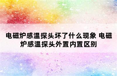 电磁炉感温探头坏了什么现象 电磁炉感温探头外置内置区别